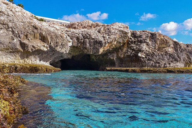sea lions, caves, ocean, wildlife, marine, geology