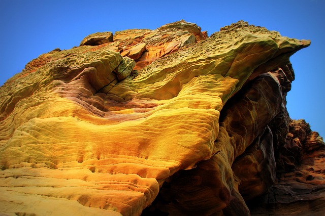 sea lions, caves, ocean, wildlife, marine, geology