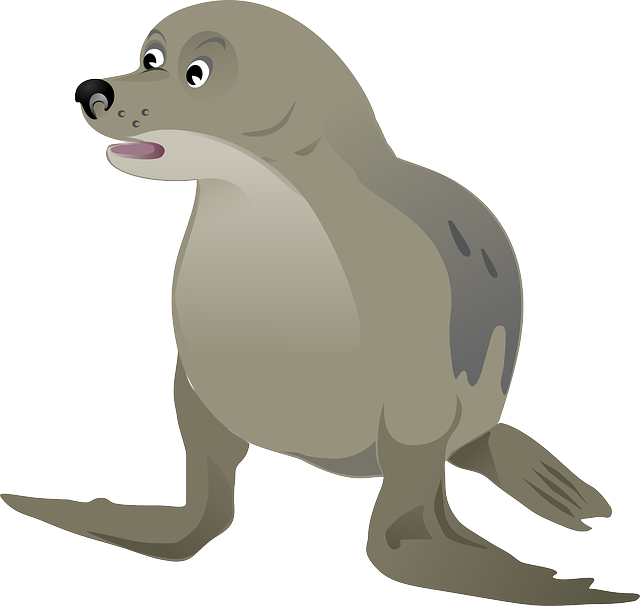 sea lions, caves, ocean, wildlife, marine, geology