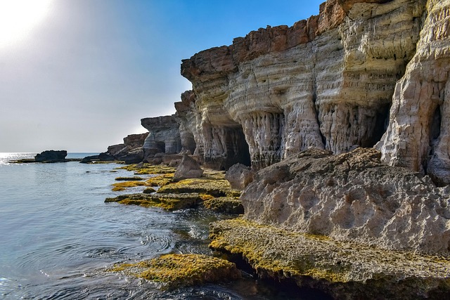 sea lions, caves, ocean, wildlife, marine, geology
