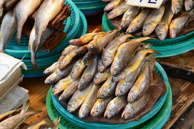 seafood