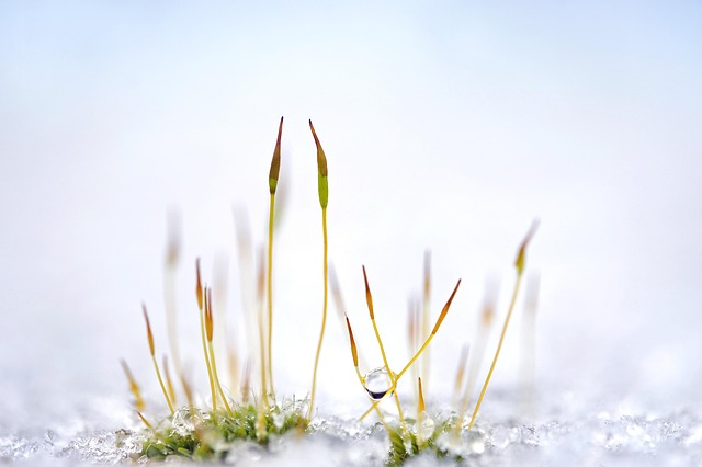 seasonal-plumbing-maintenance-winter-gut-640x480-24439922.jpeg