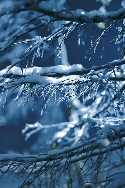 seasonal, plumbing, maintenance, winter, gutter, insulation