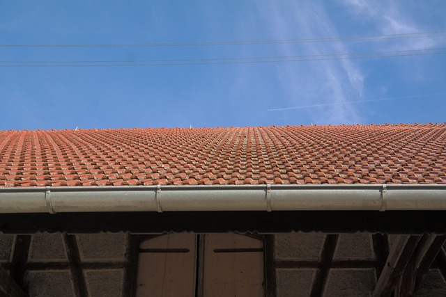 seasonal, plumbing, maintenance, winter, gutter, insulation