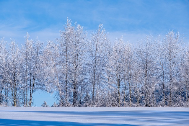 seasonal, plumbing, maintenance, winter, gutter, insulation