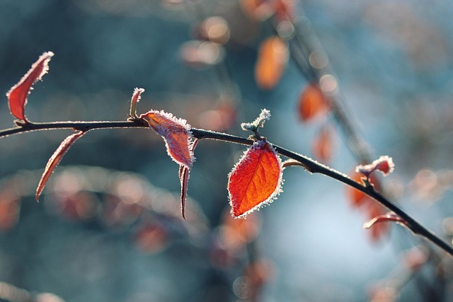 seasonal, plumbing, maintenance, winter, gutter, insulation
