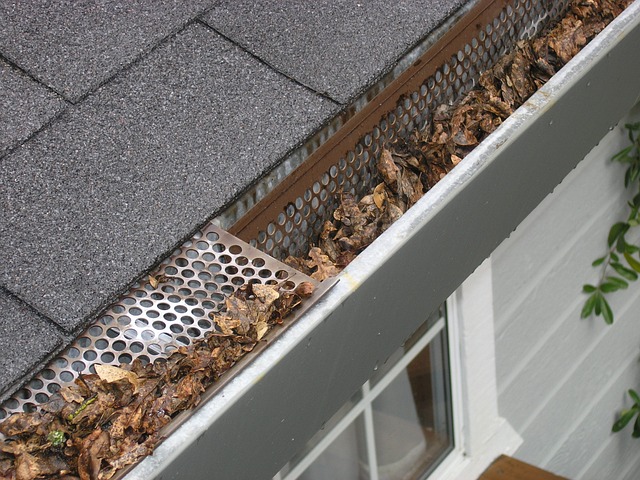 seasonal-plumbing-maintenance-winter-gut-640x480-51965028.jpeg