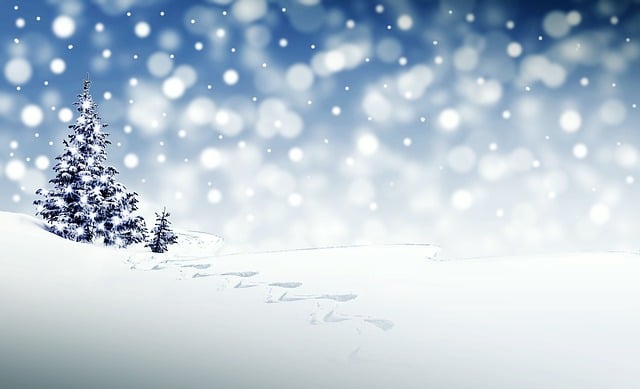 seasonal, plumbing, maintenance, winter, gutter, insulation