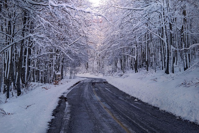 seasonal, plumbing, maintenance, winter, gutter, insulation