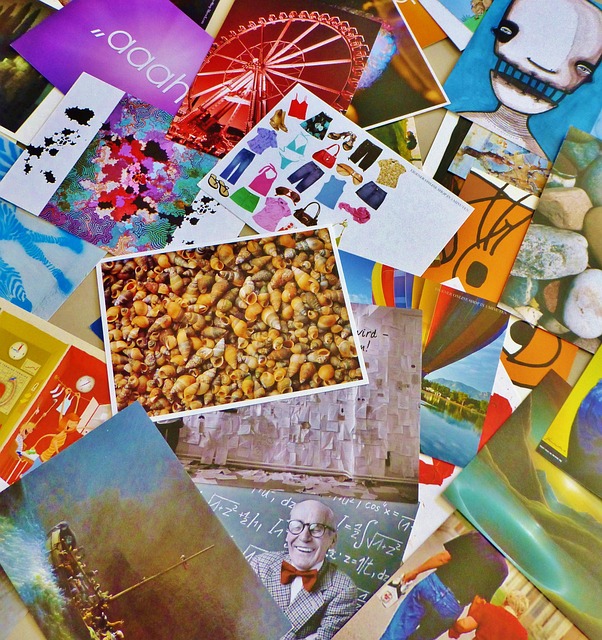 selection