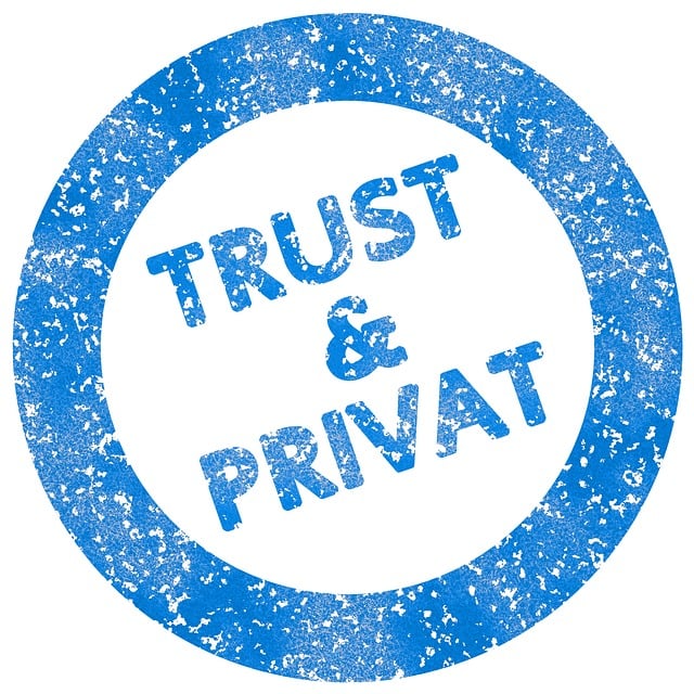 self-check, accuracy, verification, personal records, consistency, security