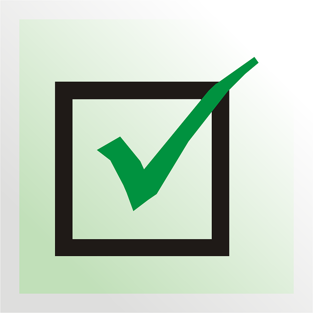self-check, accuracy, verification, personal records, consistency, security