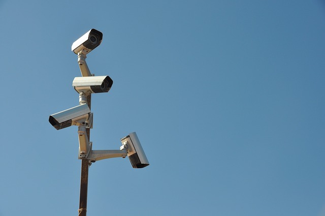 self-check, accuracy, verification, personal records, consistency, security