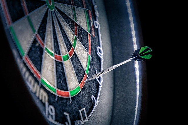 self-check, accuracy, verification, personal records, consistency, security