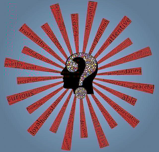 self-check-accuracy-verification-persona-640x480-71698437.jpeg