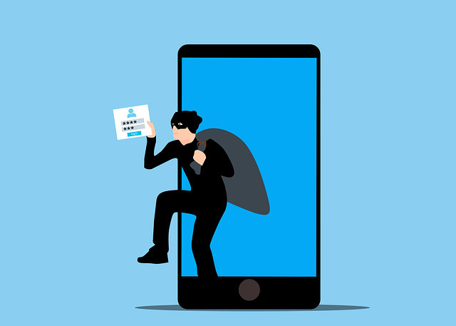 self-check, accuracy, verification, personal records, consistency, security