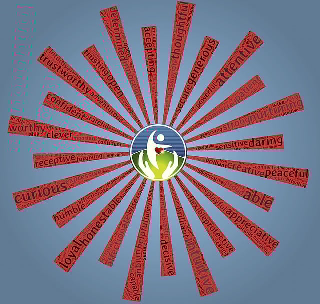 self-check, accuracy, verification, personal records, consistency, security