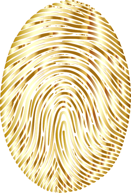 self-check, accuracy, verification, personal records, consistency, security
