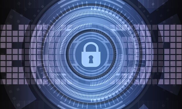 self-check, accuracy, verification, personal records, consistency, security
