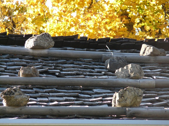 shingle roof