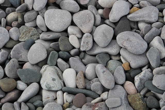 shingle roof