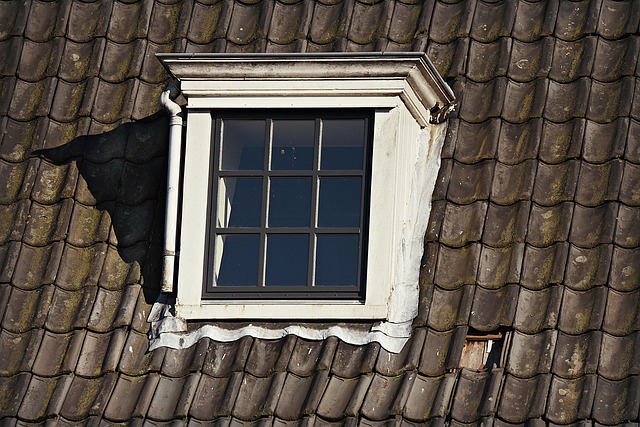 shingle roof