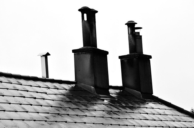 shingle roof