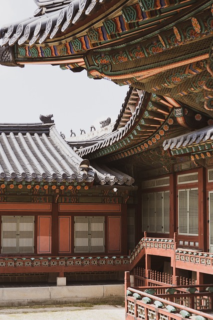 shingle roof