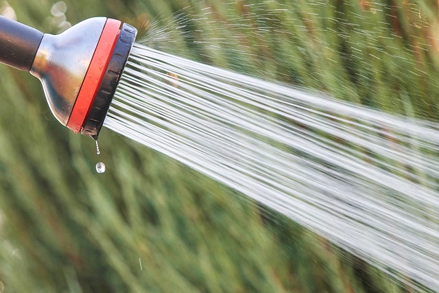 shower