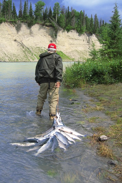 Siuslaw, fishing, river, salmon, nature, flyfishing