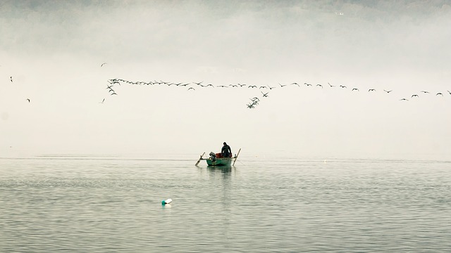 Siuslaw, fishing, river, salmon, nature, flyfishing
