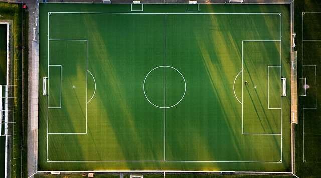 soccer, Oregon Ducks, Oregon, field, team, ball