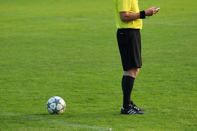 soccer, Oregon Ducks, Oregon, field, team, ball