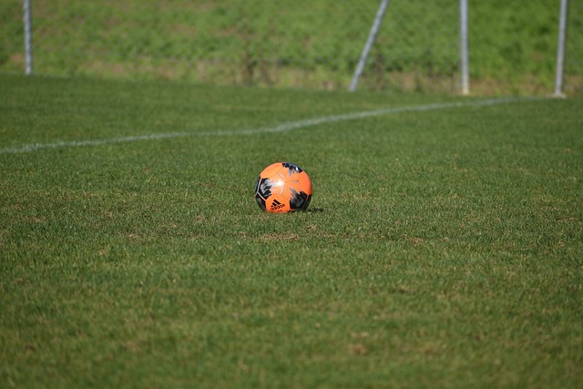 soccer, Oregon Ducks, Oregon, field, team, ball