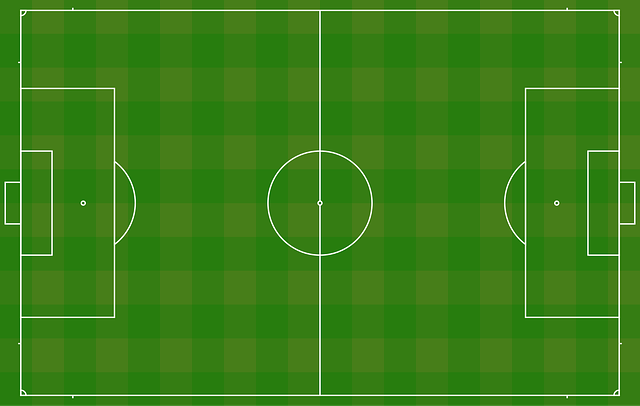 soccer, Oregon Ducks, Oregon, field, team, ball