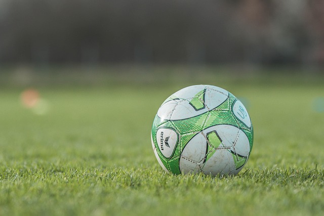 soccer, Oregon Ducks, Oregon, field, team, ball