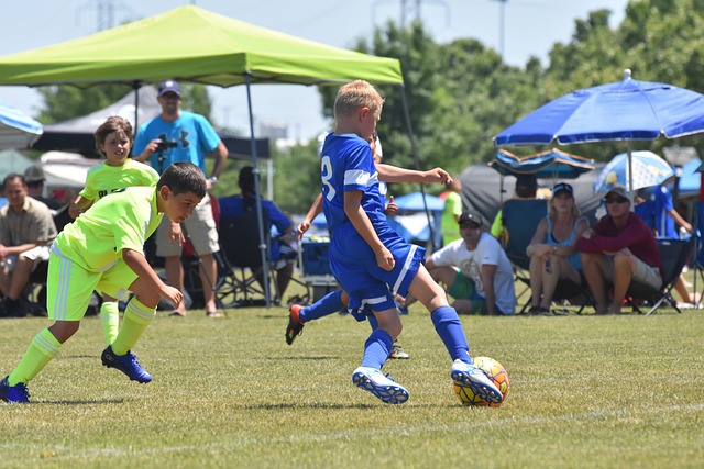 soccer, Oregon Ducks, Oregon, field, team, ball