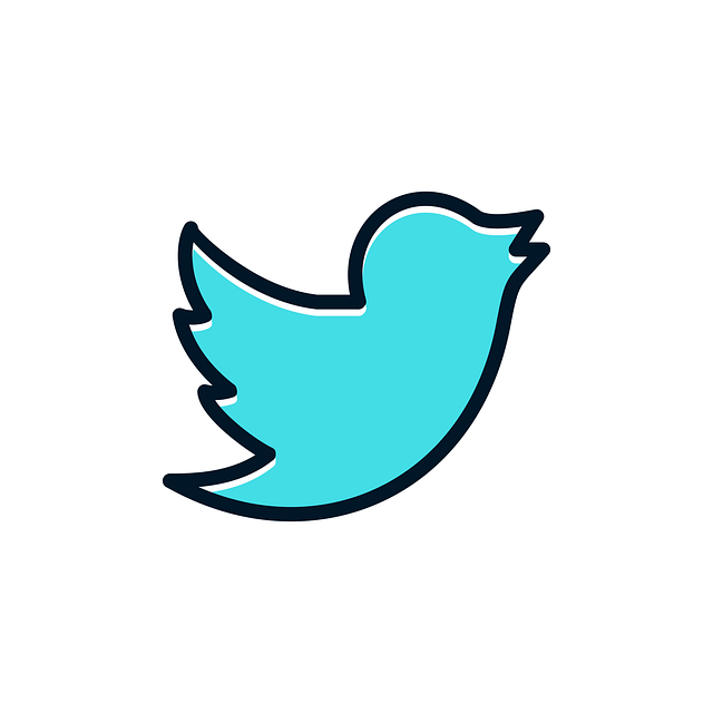 social media