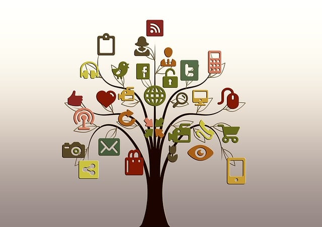 social media, online, profiles, privacy, ethics, analytics