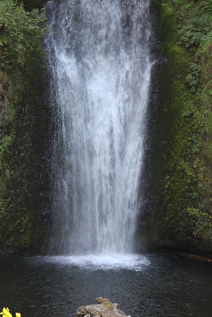 softball, Oregon, Oregon Ducks, women, team, pitch