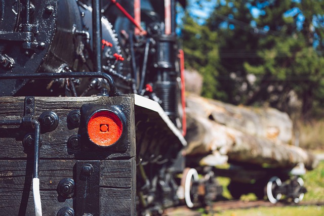 Springfield, history, logging, railroad, landmarks, culture