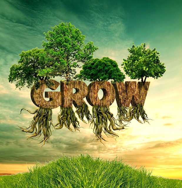 startups, finance, business, growth, entrepreneurship, innovation