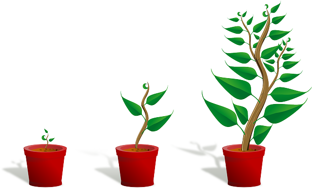 startups-finance-business-growth-entrepr-640x480-87599277.png