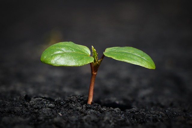startups, growth, capital, technology, access, resilience