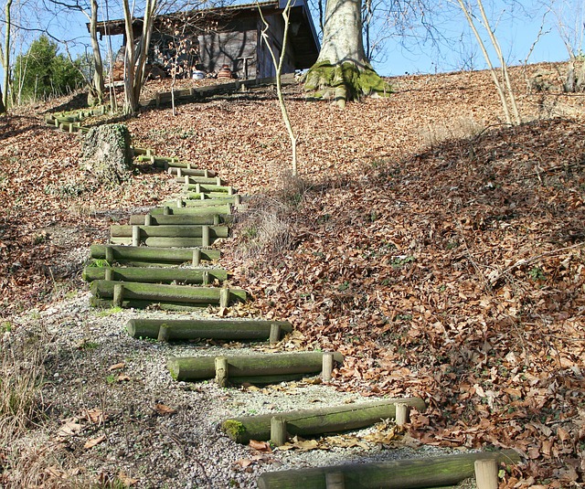 steps