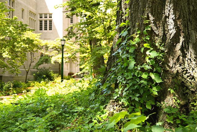 student housing, apartment, college, renting, roommates, campus