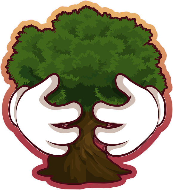 sustainable-eco-friendly-green-student-h-640x480-3846909.png