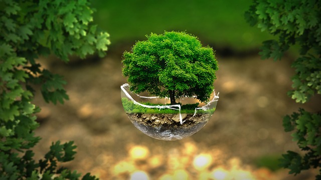 sustainable-eco-friendly-green-student-h-640x480-92975846.jpeg