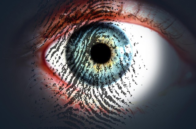 technology, screening, data, security, credentials, verification