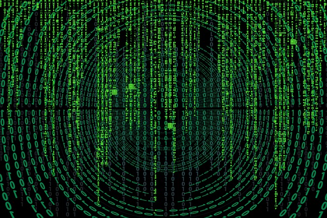 technology, screening, data, security, credentials, verification